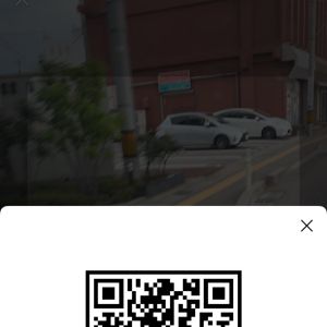 もね 女性 富山 10代