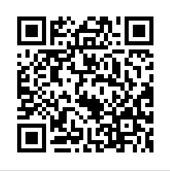 シャネル 女性 秋田 30代